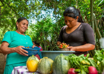 Instituciones públicas conversan sobre la Hoja de Ruta para la Transformación de Sistemas Alimentarios Sostenibles