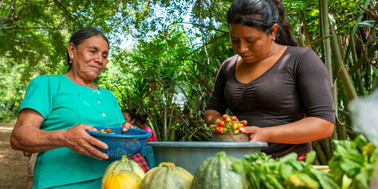 Instituciones públicas conversan sobre la Hoja de Ruta para la Transformación de Sistemas Alimentarios Sostenibles