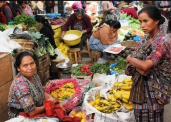 Recomendaciones para alimentación saludable: ¿qué es la Olla Familiar?