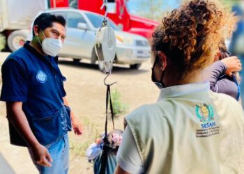 Sistema Nacional de Seguridad Alimentaria y Nutricional cumple 18 años