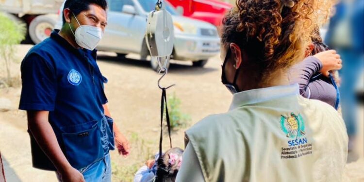 Sistema Nacional de Seguridad Alimentaria y Nutricional cumple 18 años