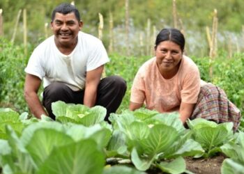 Realizan taller de formación sobre la CIF 2023