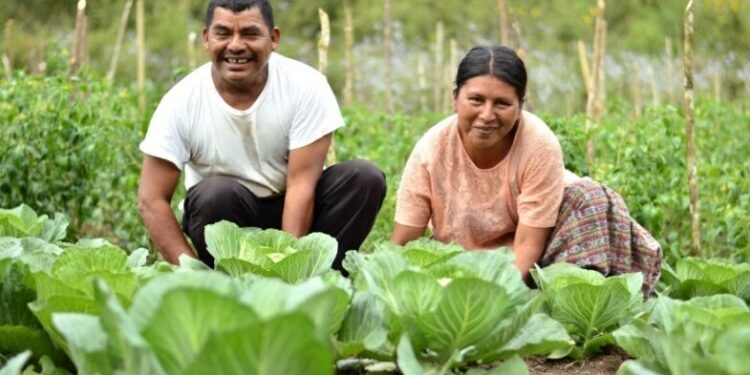 Realizan taller de formación sobre la CIF 2023