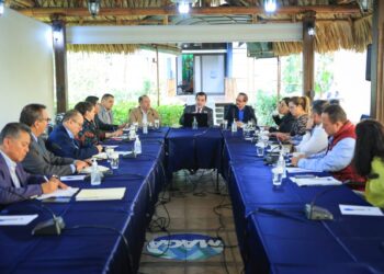 Guatemala modernizará los controles para prevenir el hongo que afecta al banano y plátano.