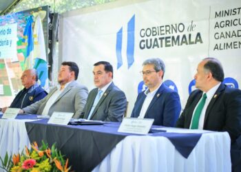 MAGA plantea estrategia para el fortalecimiento agropecuario