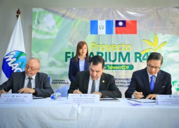 Guatemala recibe primer desembolso del proyecto regional para la prevención del Fusarium