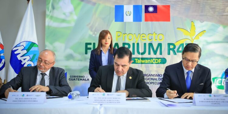 Guatemala recibe primer desembolso del proyecto regional para la prevención del Fusarium