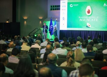 Guatemala fortalece la innovación en producción de aguacate para llegar a nuevos mercados