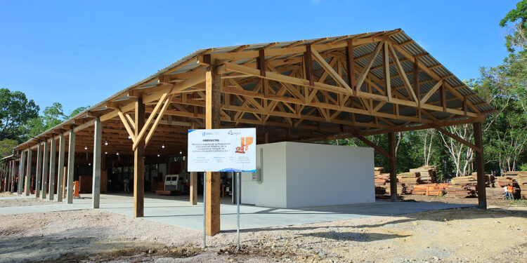 Productores artesanales de madera en Petén mejoran su infraestructura productividad