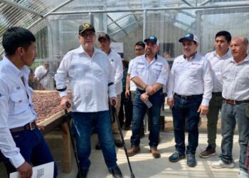 Fortalecen producción de cacao en Cobán, Alta Verapaz