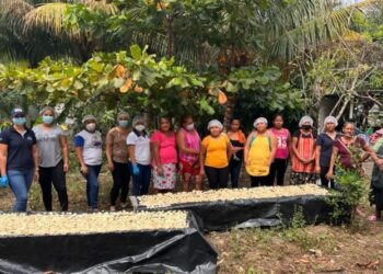 Promueven platillos hechos a base de harina de banano para combatir la malnutrición en niños