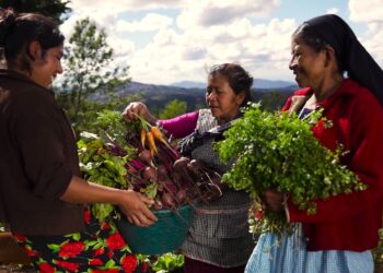Instituciones de gobierno coordinan acciones para mitigar los efectos de “El Niño” y la canícula prolongada