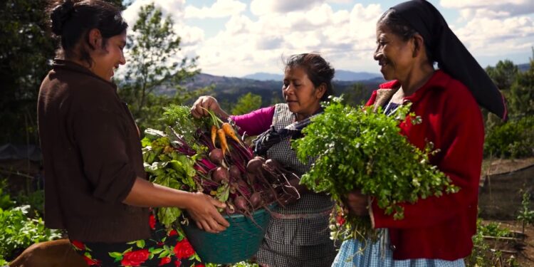 Instituciones de gobierno coordinan acciones para mitigar los efectos de “El Niño” y la canícula prolongada