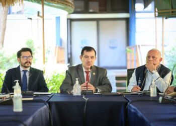 MAGA integra a la cooperación internacional en comités técnicos para apoyar al sector agropecuario