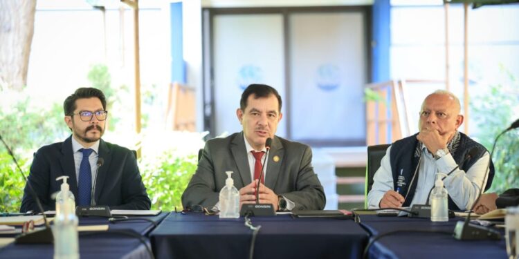 MAGA integra a la cooperación internacional en comités técnicos para apoyar al sector agropecuario