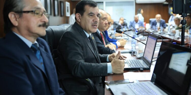 Guatemala avanza en la protección para la obtención de variedades vegetales