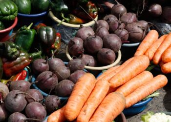 Guatemala expondrá actualización de su Política de Seguridad Alimentaria y Nutricional en cumbre global