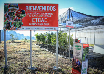 Dos nuevas Escuelas Técnicas de Campo para Alimentación Escolar abren sus puertas en Quiché