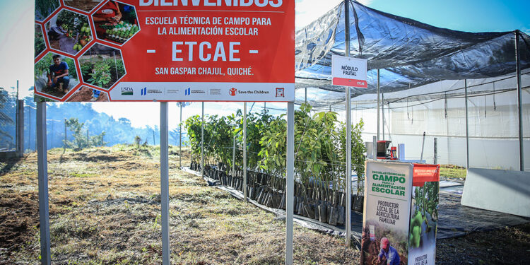 Dos nuevas Escuelas Técnicas de Campo para Alimentación Escolar abren sus puertas en Quiché