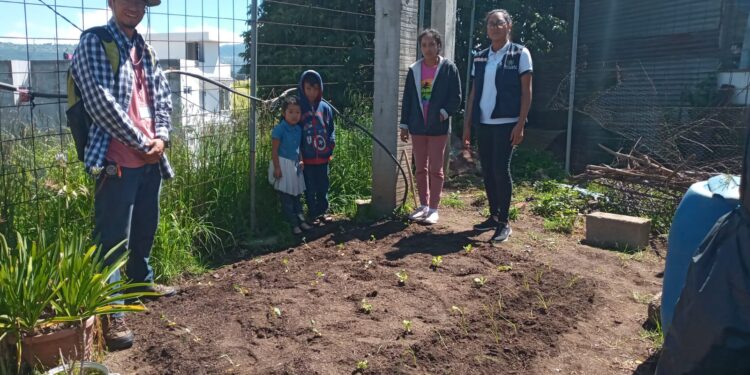 Promueven huertos familiares para fortalecer la Seguridad Alimentaria y Nutricional en Quetzaltenango