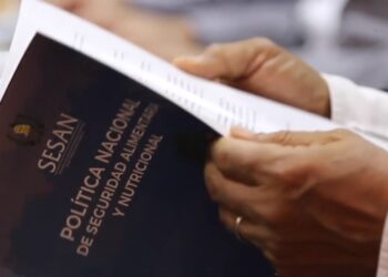 SESAN presenta ante el Grupo de Instituciones de Apoyo política actualizada