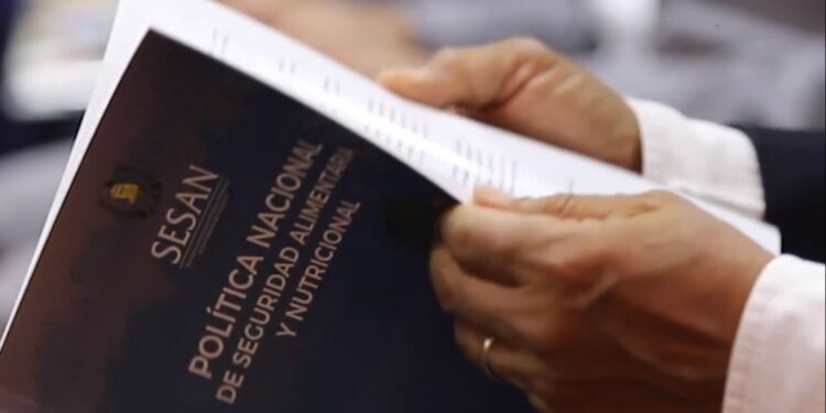 SESAN presenta ante el Grupo de Instituciones de Apoyo política actualizada