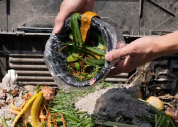 Pérdida y desperdicio de alimentos: su importancia en la prevención y reducción como reto intersectorial