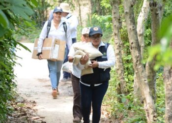 SESAN expone conformación de su presupuesto para 2024 en el Congreso de la República