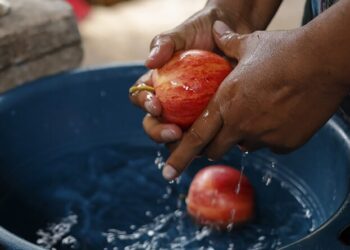 SESAN se suma a la conmemoración del Día Mundial de la Alimentación