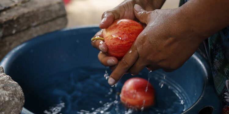 SESAN se suma a la conmemoración del Día Mundial de la Alimentación