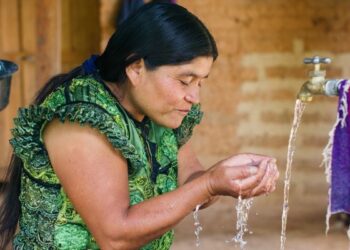 Las OMAS y su papel en la Seguridad Alimentaria y Nutricional