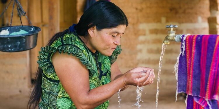 Las OMAS y su papel en la Seguridad Alimentaria y Nutricional