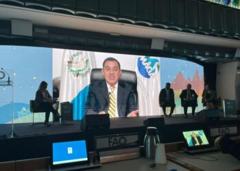 Guatemala con el apoyo de FAO busca captar inversiones en el sector agrícola