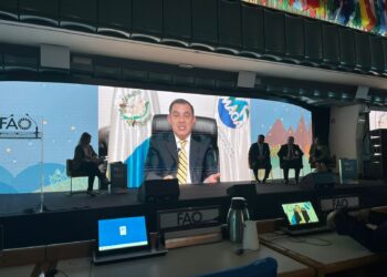 Guatemala participa en el Foro de Inversiones de la Iniciativa Mano de la Mano