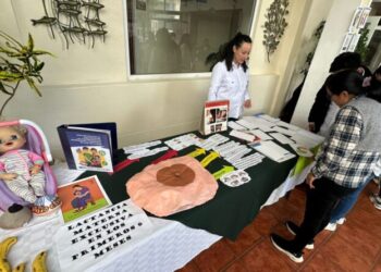 Capacitan sobre Comunicación para el Cambio Social y de Comportamiento a profesionales de la seguridad alimentaria y nutricional de Quetzaltenango
