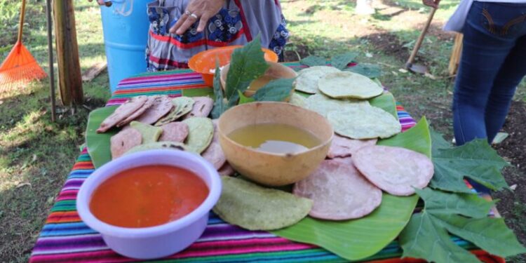 Tortillas de colores: un nutritivo arcoíris con sabor guatemalteco