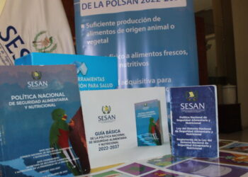 Huehuetenango: Estrategia interinstitucional permite recuperación de 473 niños con desnutrición aguda