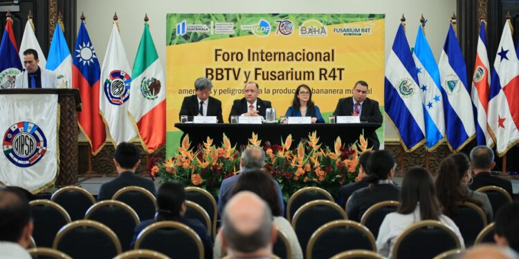 Guatemala fortalece capacidades para enfrentar la amenaza del Fusarium R4T