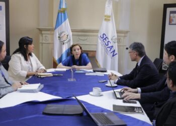 SESAN sienta las bases para coordinación multisectorial con cooperantes internacionales