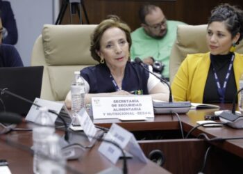 SESAN atiende citación en el Congreso para informar acciones que se ejecutarán en Quiché