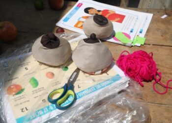 Capacitan sobre lactancia materna exclusiva a madres huehuetecas