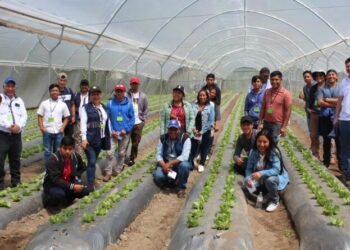 Personal de la SESAN participa en taller sobre Soluciones Innovadoras para Cadenas de Valor Agrícola