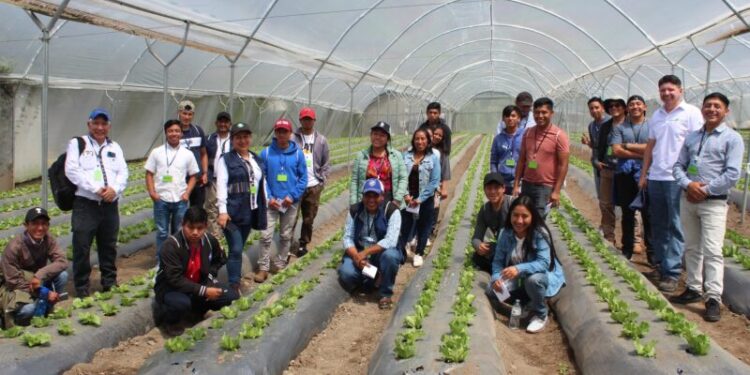 Personal de la SESAN participa en taller sobre Soluciones Innovadoras para Cadenas de Valor Agrícola
