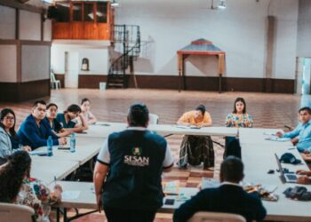 ¿Cuáles son los niveles de gobernanza de la seguridad alimentaria y nutricional?