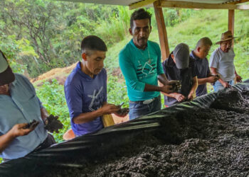 Agricultores de San Martín Chicaj producen abono orgánico
