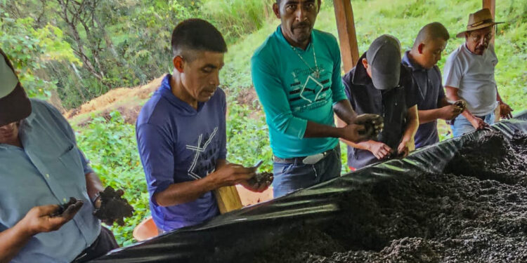 Agricultores de San Martín Chicaj producen abono orgánico
