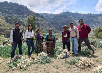 Agricultores reciben insumos y asistencia para mejorar producción
