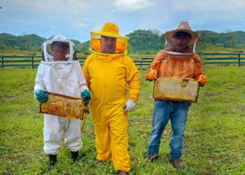 Apicultores de Petén se adaptan al cambio climático