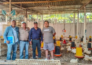 Apoyan a avicultores que buscan convertirse en proveedores de alimentos escolares