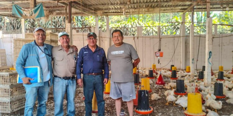 Apoyan a avicultores que buscan convertirse en proveedores de alimentos escolares